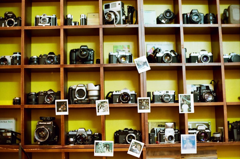 A collection of vintage cameras displayed on wooden shelves with Polaroid photos in Vietnam.